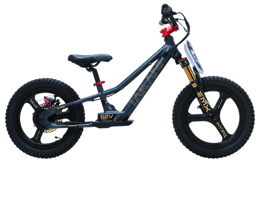 350W TAKANI Electric Balance Bike 16'' - TK1652-RS Matte Charcoal