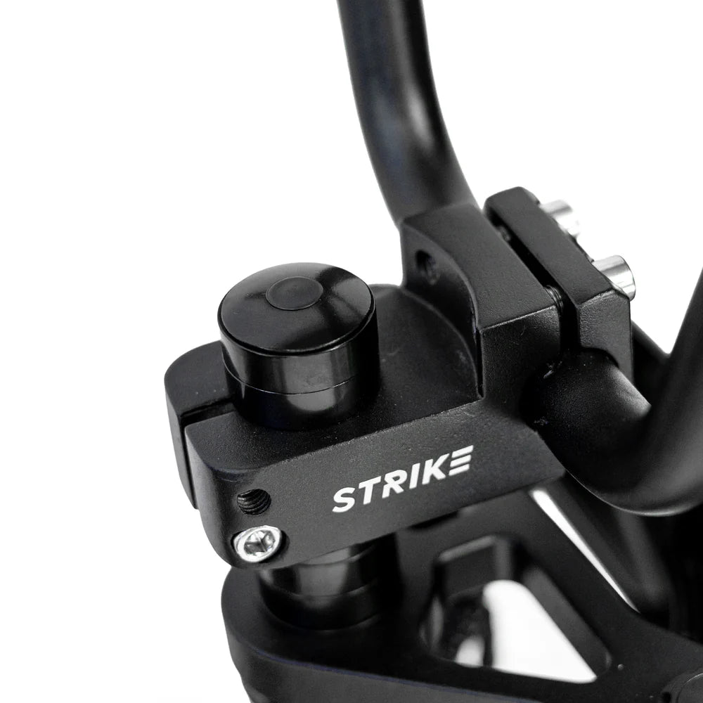 Throne Cycles RASCAL PRE ORDER