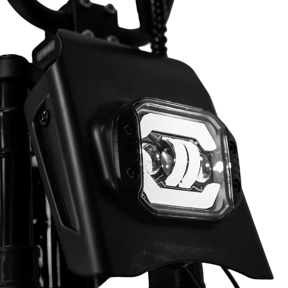 Throne Cycles RASCAL PRE ORDER