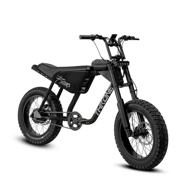 Throne Cycles Rhino Electric Bike