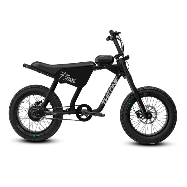 Throne Cycles Rhino Electric Bike