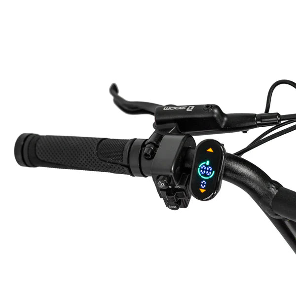 Throne Cycles RASCAL PRE ORDER
