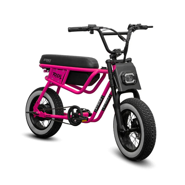 Throne Cycles RASCAL PRE ORDER