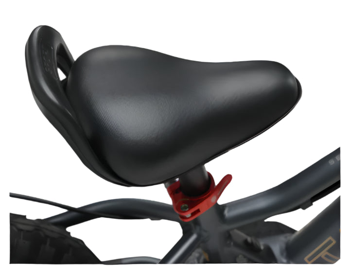 Takani Electric Balance Bike 12" Matte Charcoal
