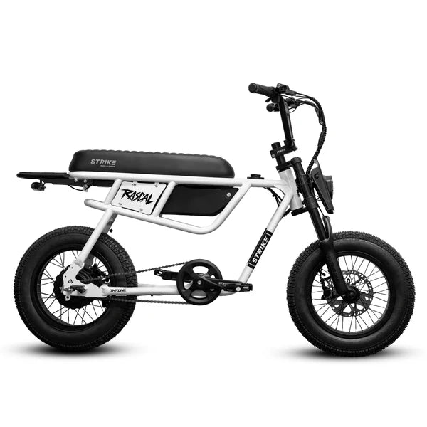 Throne Cycles Rascal Electric Bike