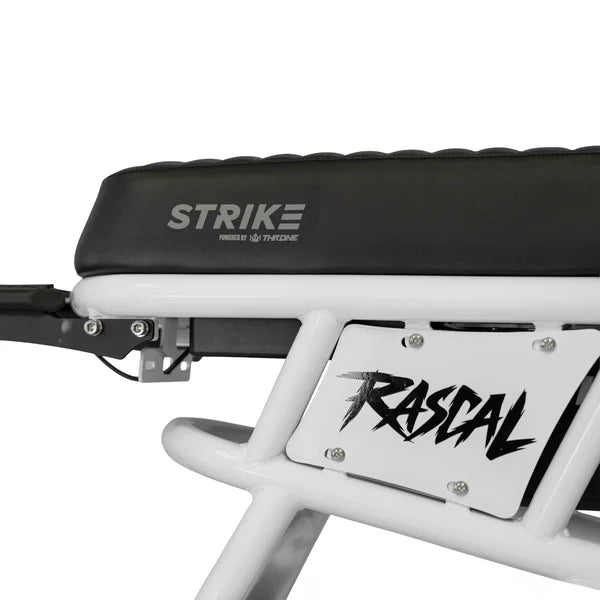 Throne Cycles Rascal Electric Bike